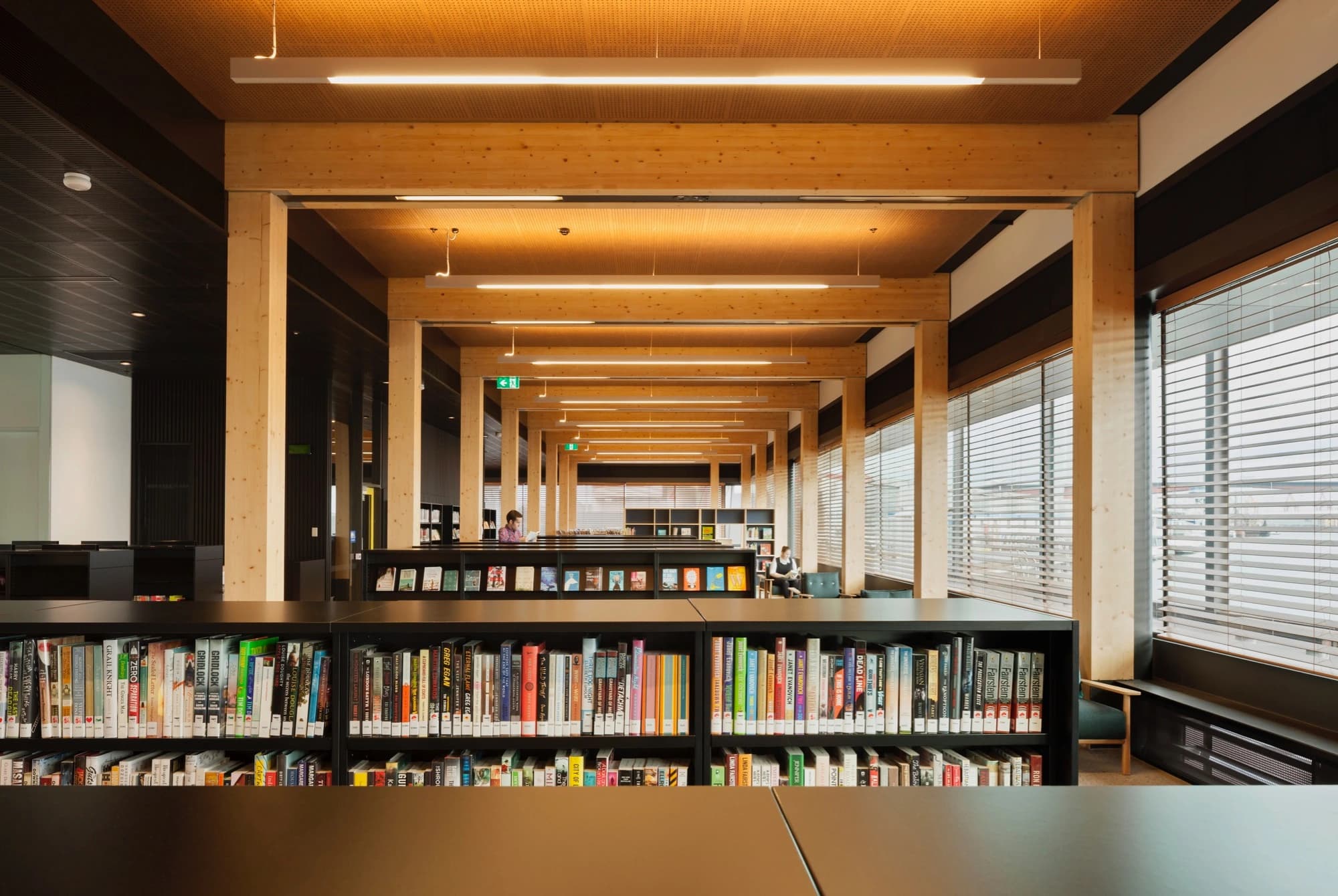 The Library at the Dock performs a vital civic function in the growing Docklands district.