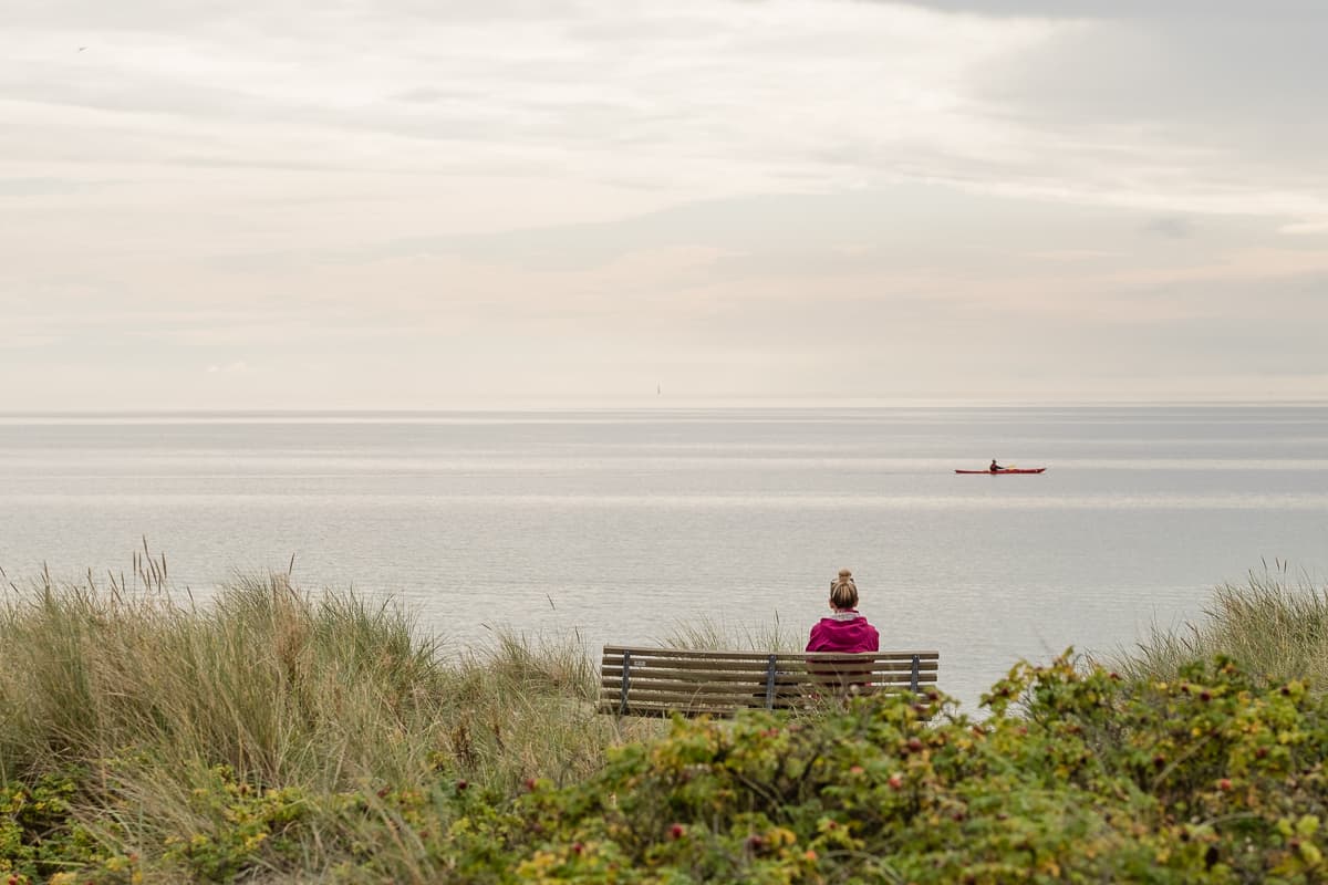 Køge Bugt Strandpark