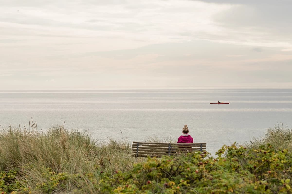 Køge Bugt Strandpark