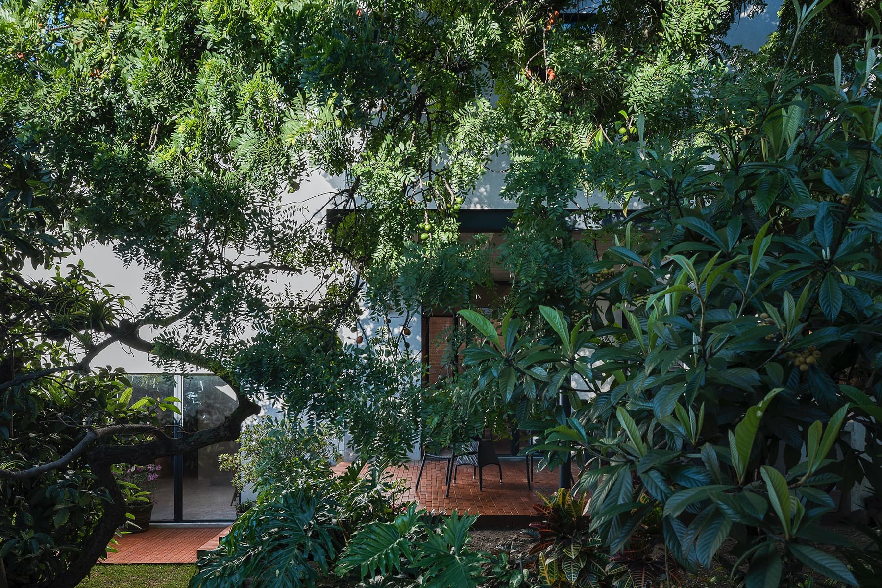 Casa Tello, PRODUCTORA