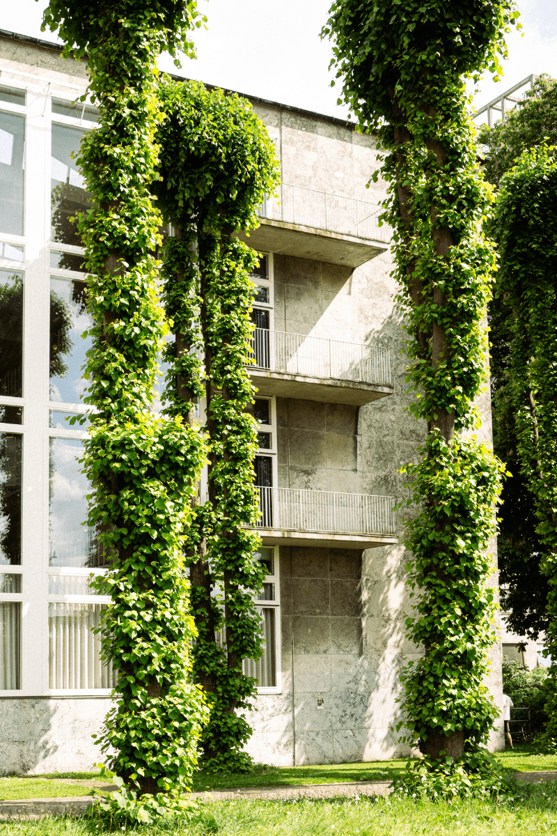 Aarhus Rådhus set udefra