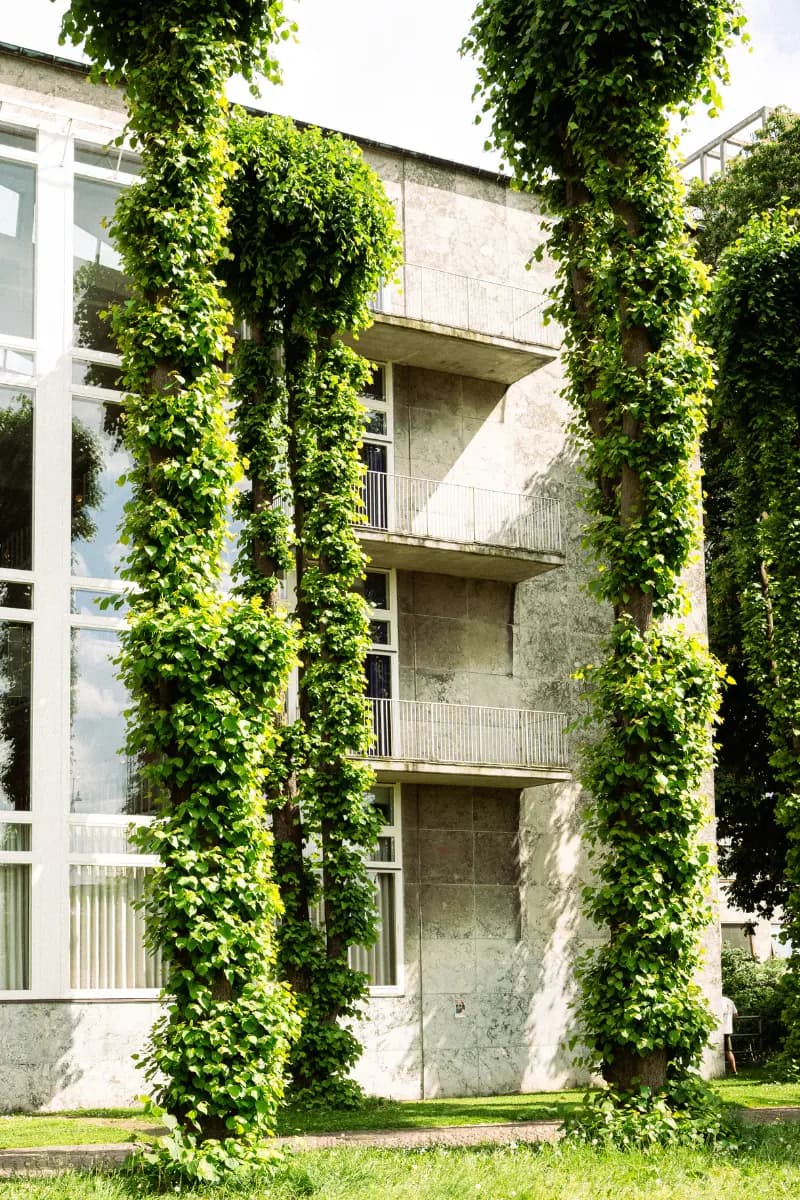 Aarhus Rådhus set udefra