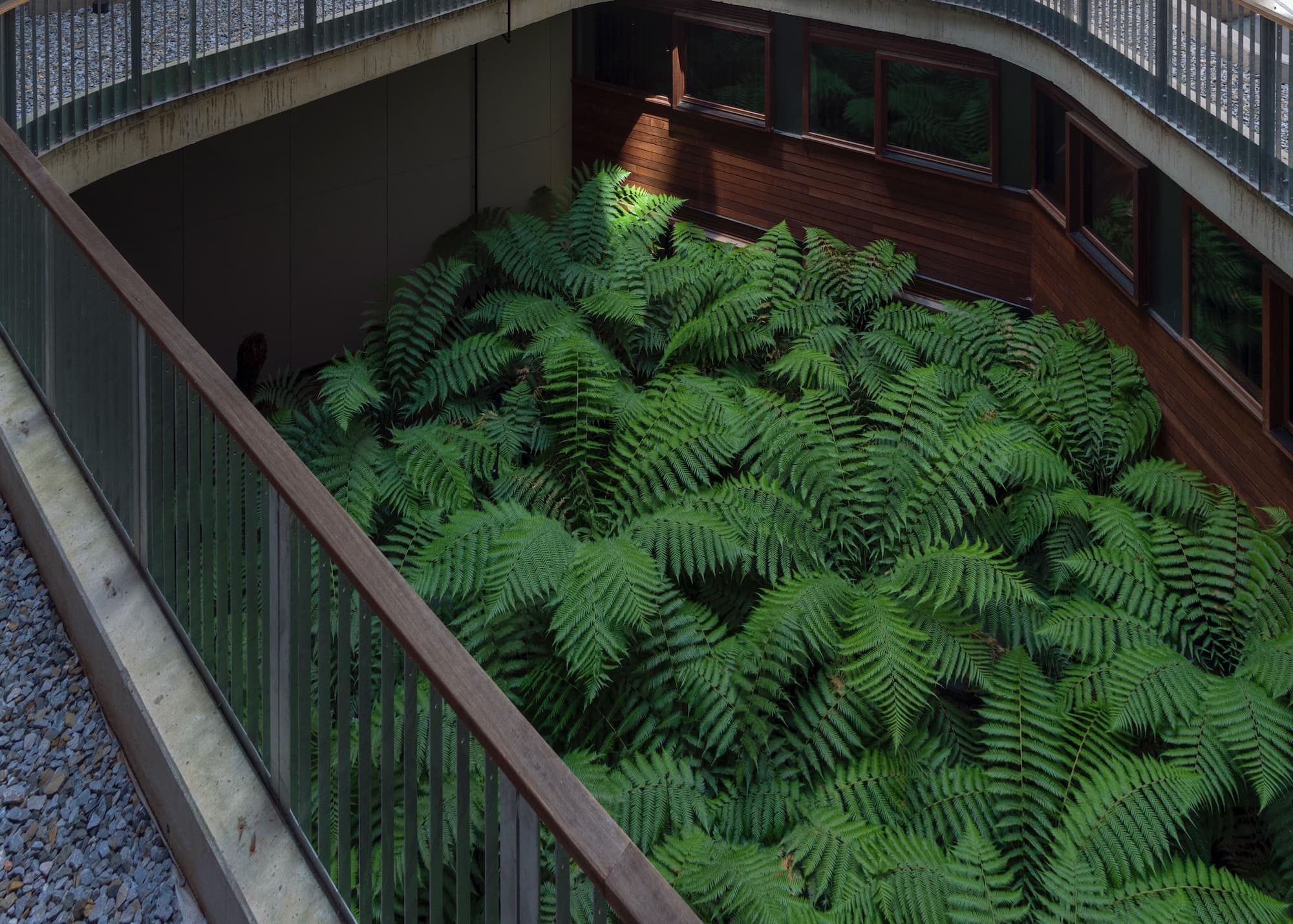 Nishi Building, Molonglo Group