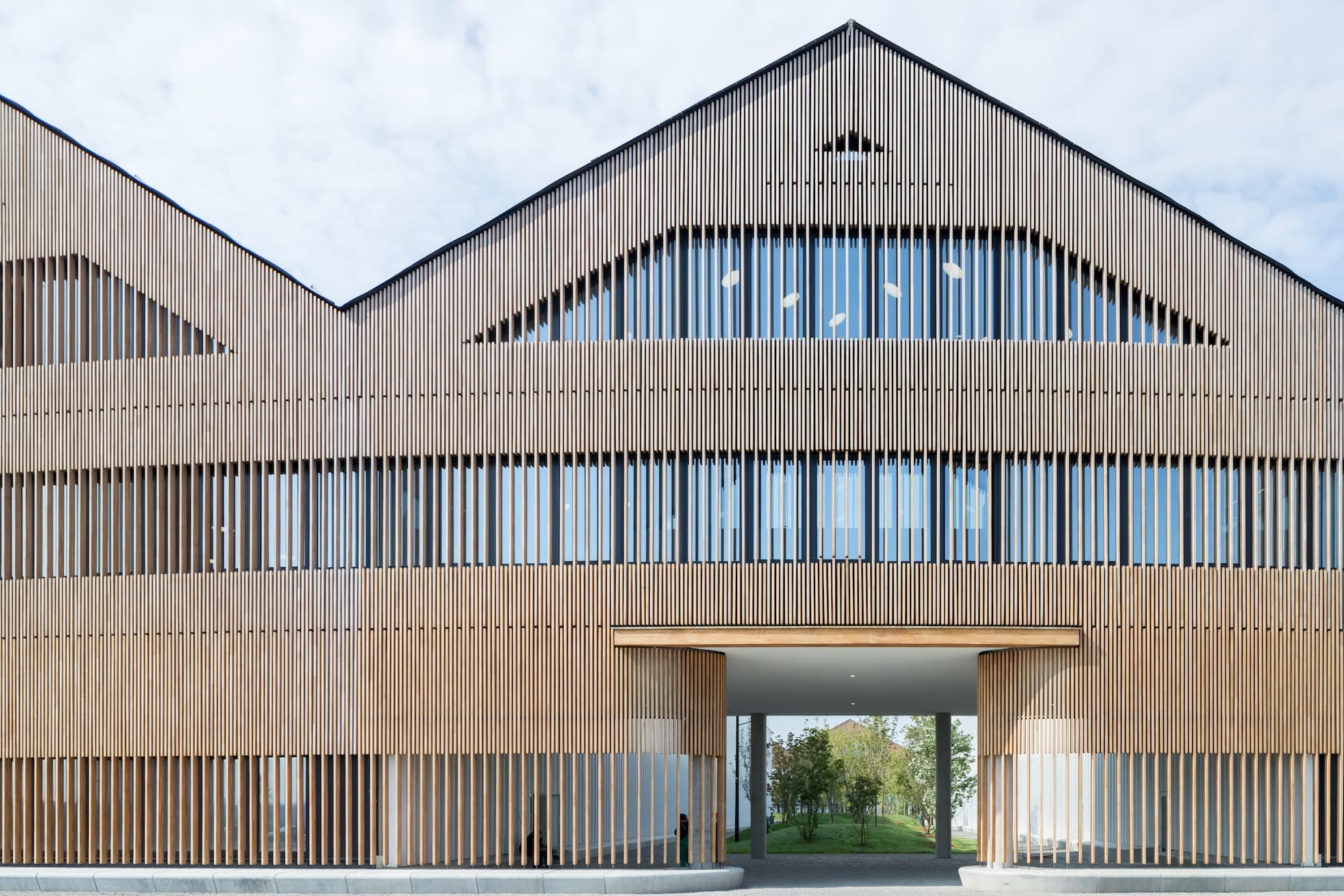 Skolkovo Institute of Science and Technology, Herzog & de Meuron