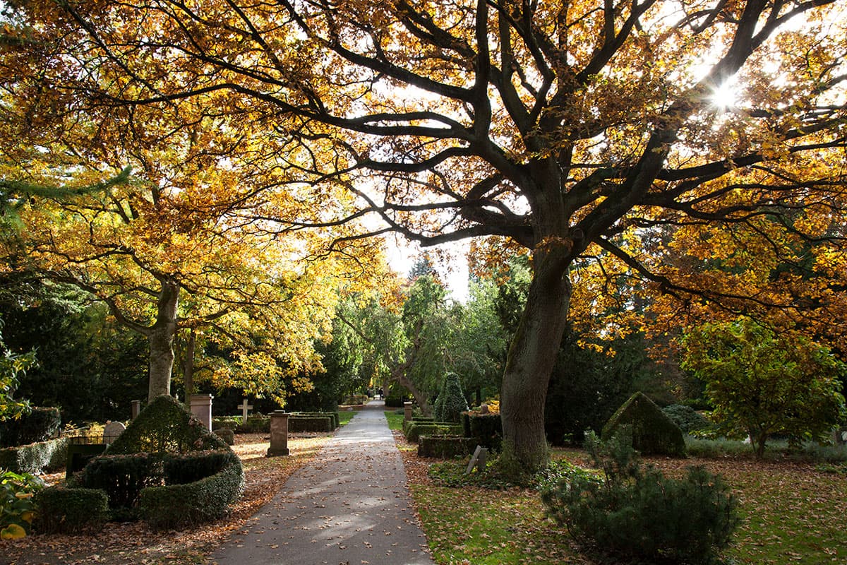 Naturen på Assistens Kirkegård
