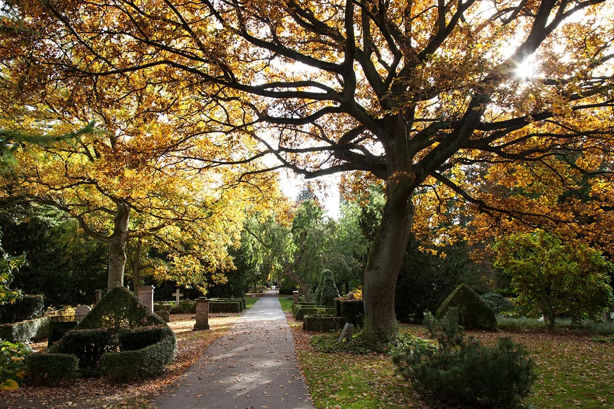 Naturen på Assistens Kirkegård
