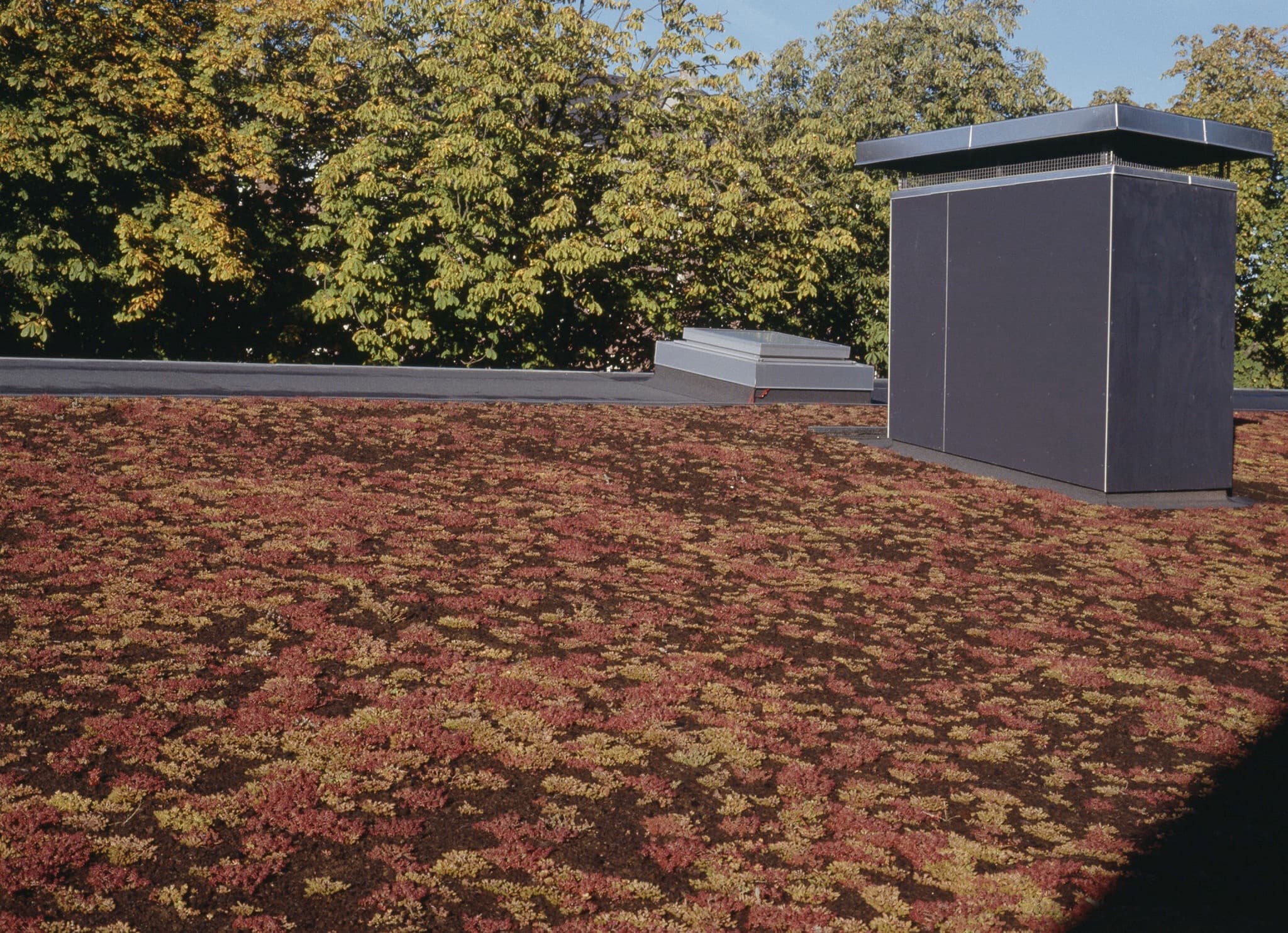 Daginstitutionen Stenurten