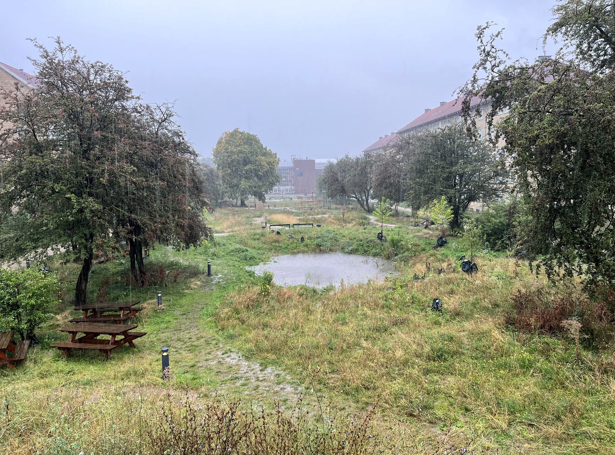 Grønningen-Bispeparken i regnvejr