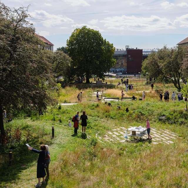Out of the Shadows: The City’s Green Spaces Have Become as Important as ...