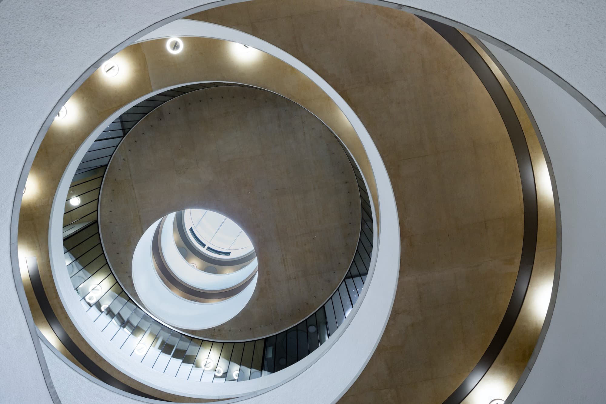 Blavatnik School of Government, HdM