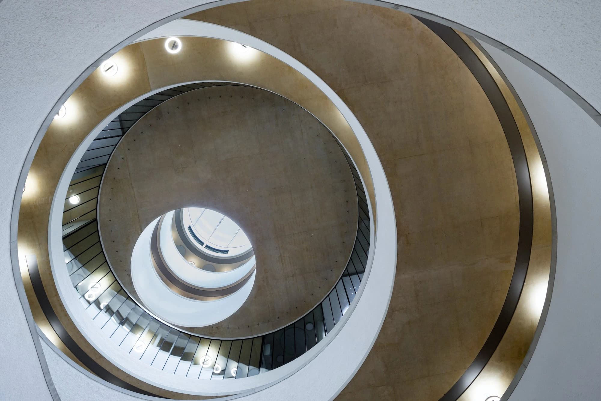 Blavatnik School of Government, HdM