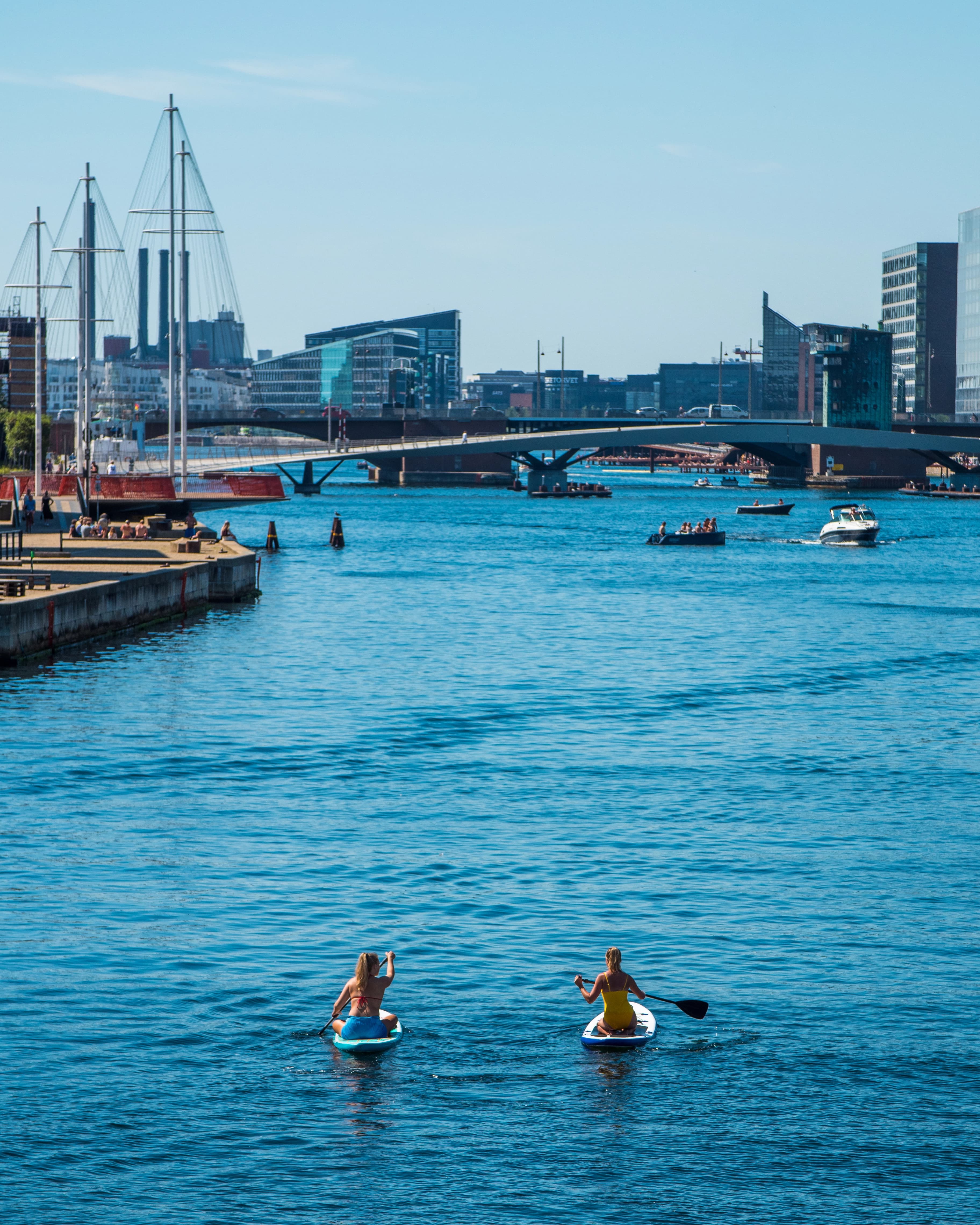 To på paddleboards i Københavns havn