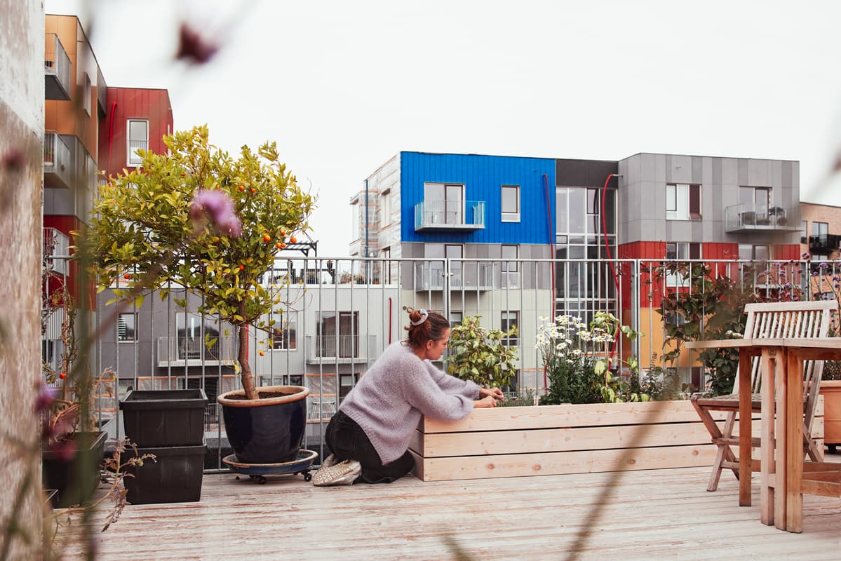 Fællesbyg Køge Kyst