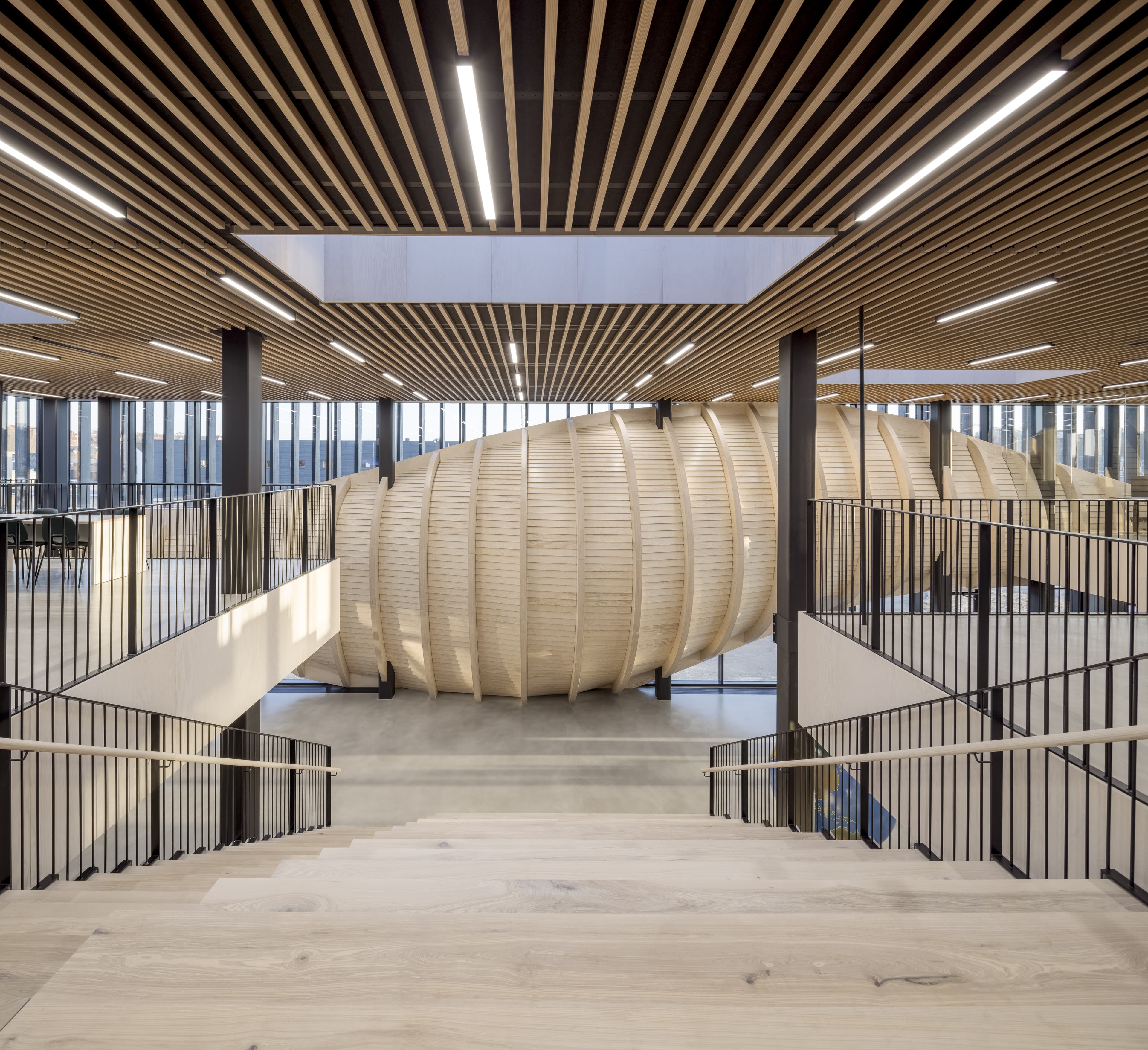 Klimatorium træ-bølgen set indefra