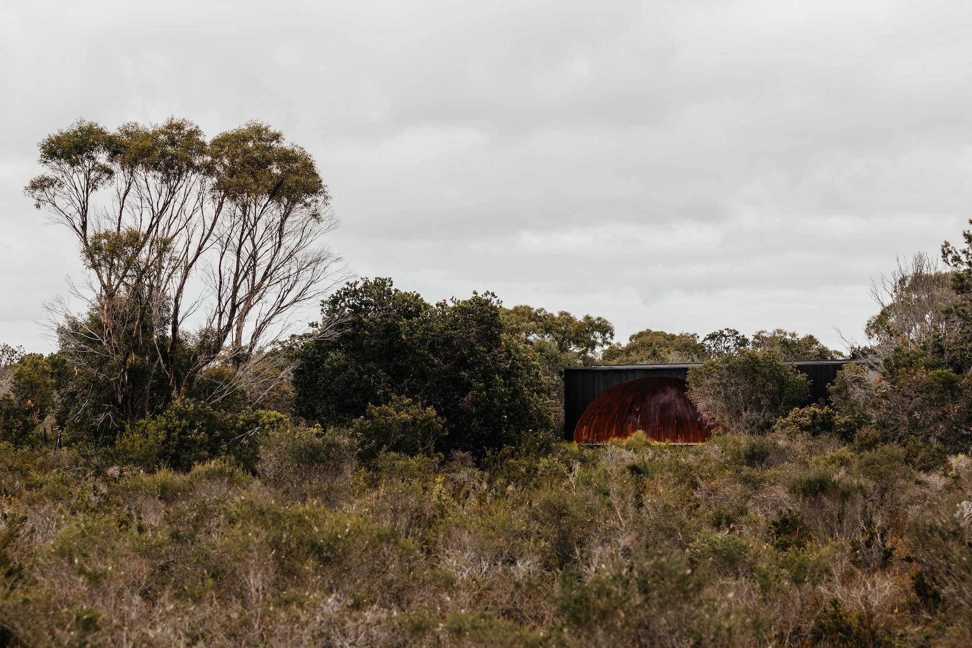 Krakani Iumi, Taylor and Hinds