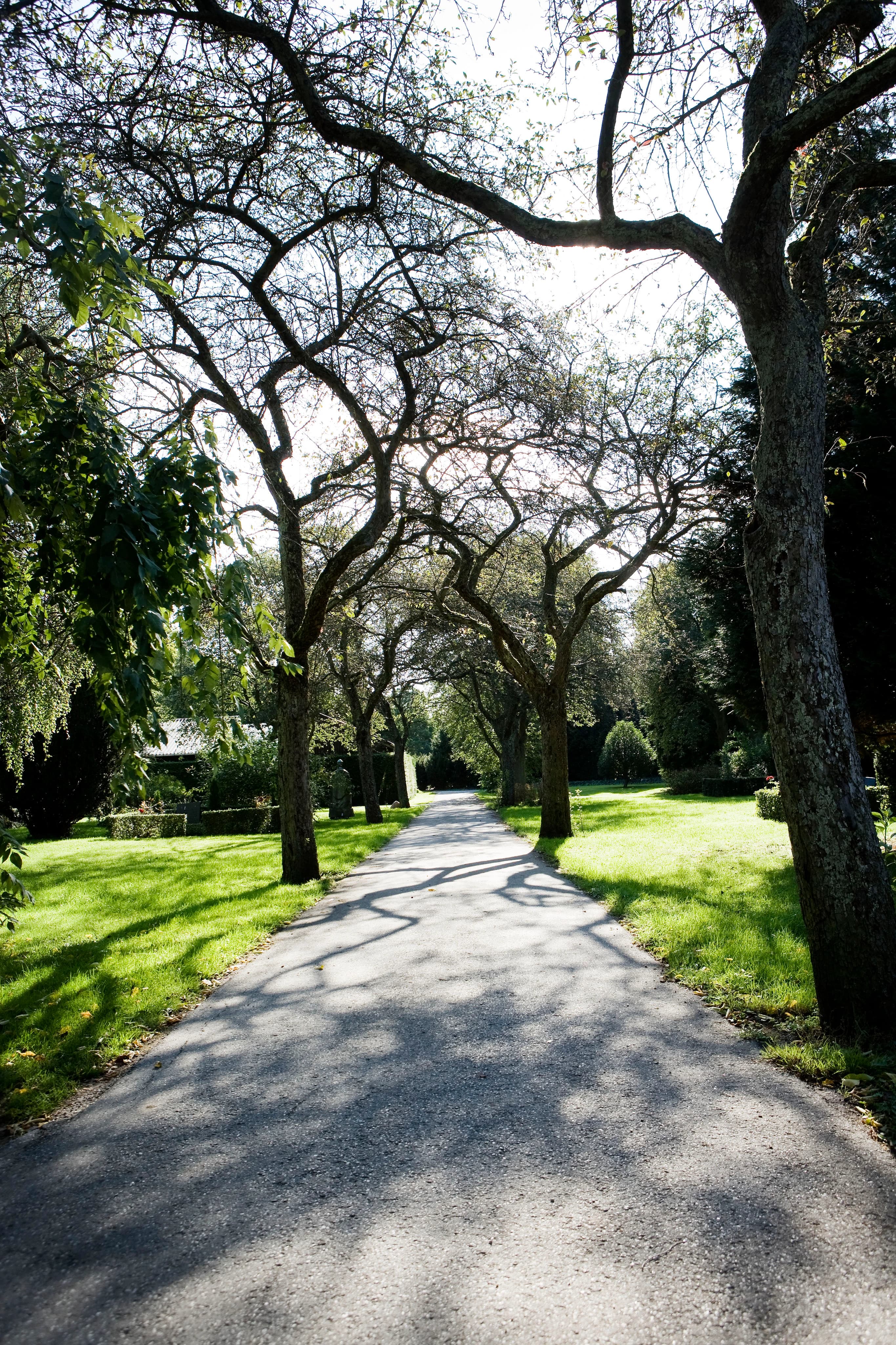 En sti på Assistens Kirkegård