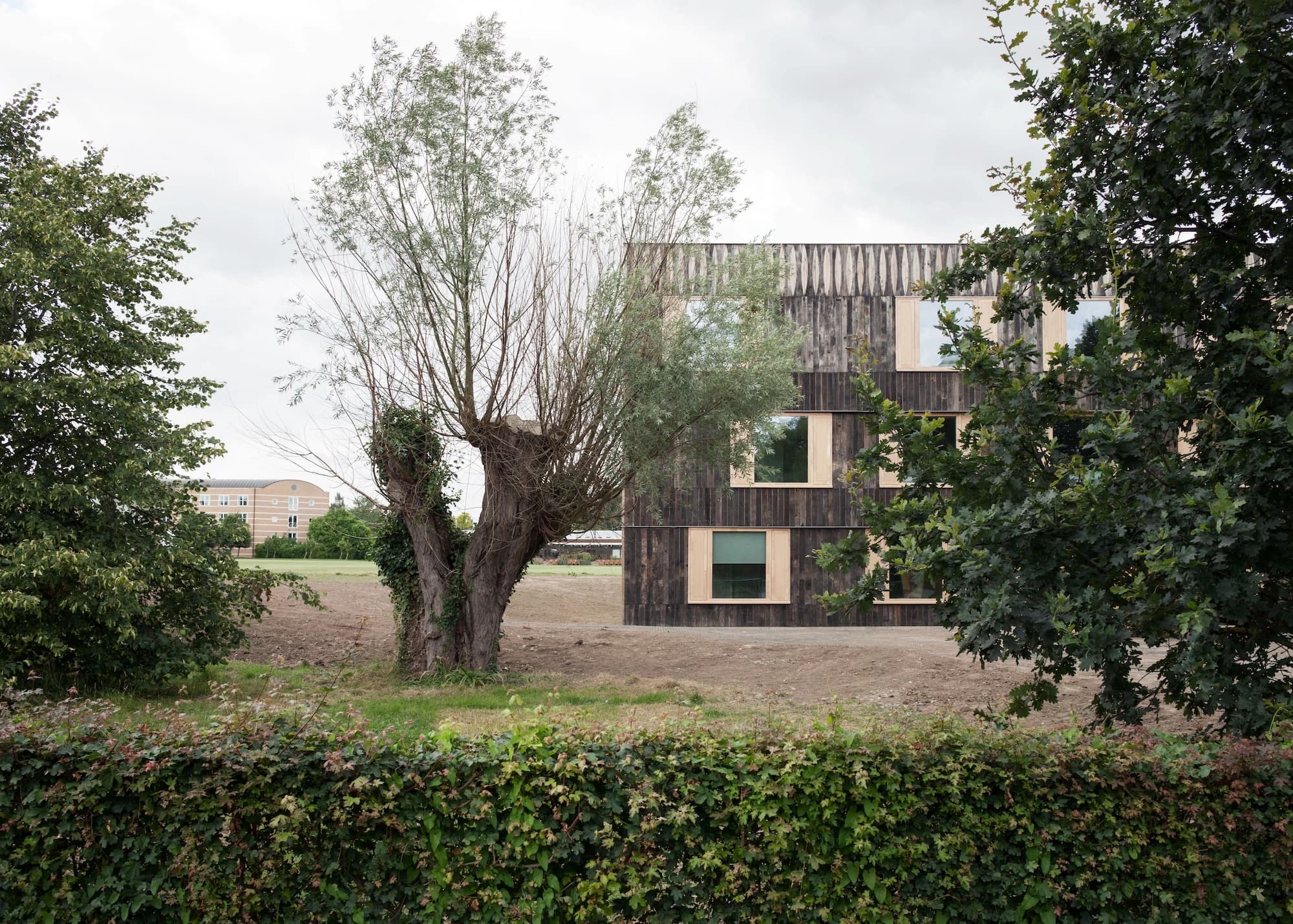 Cowan Court, 6a architects