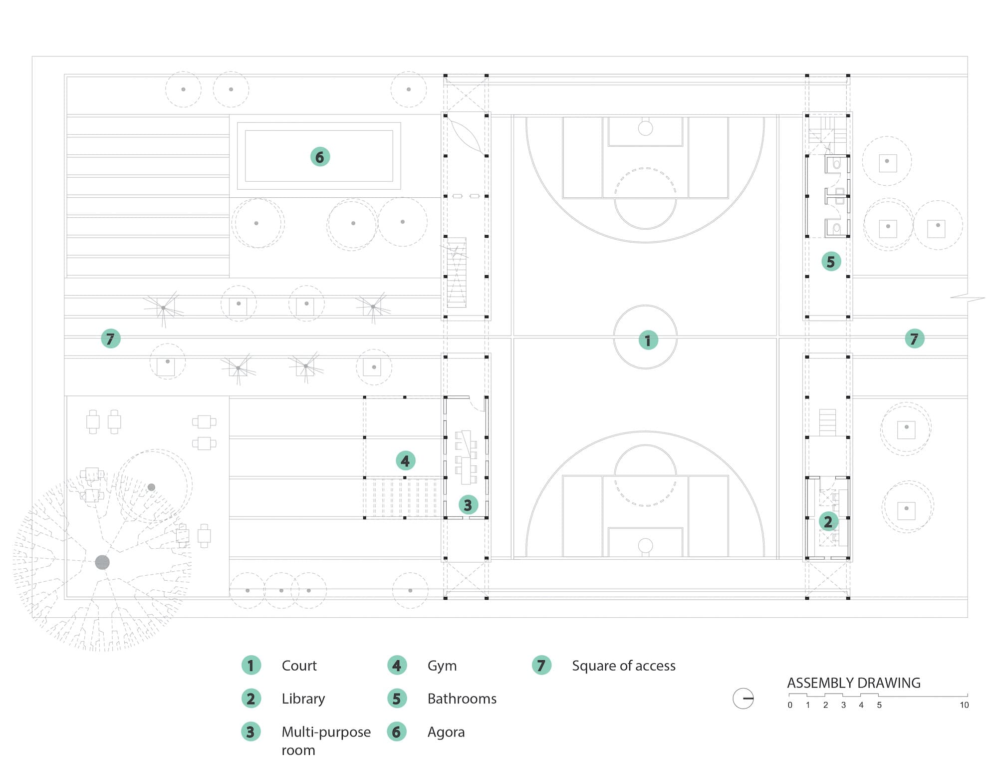Court, Rozana Montiel