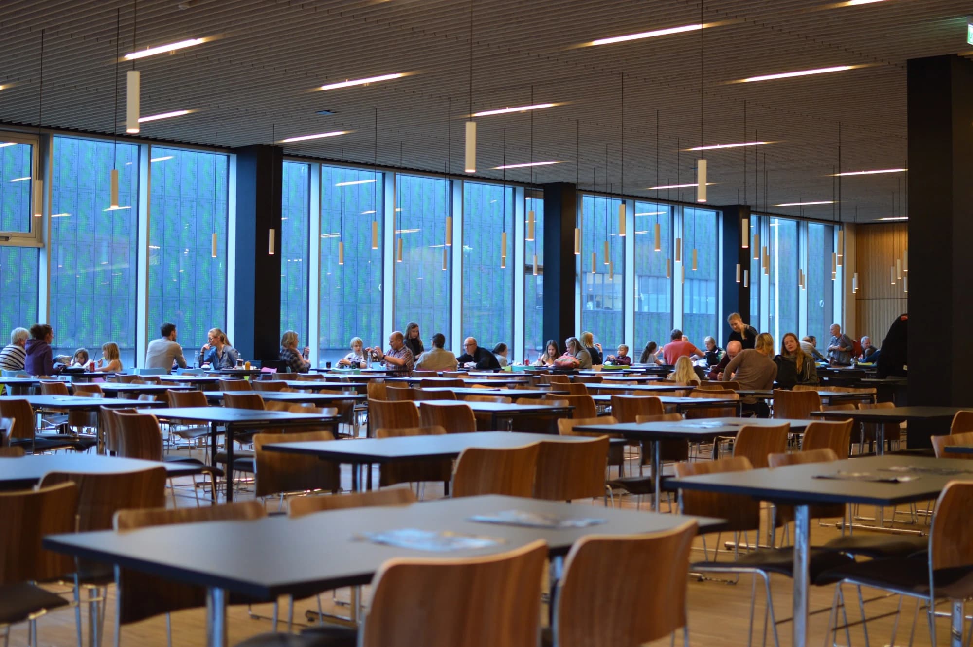 Keywords: learning, bodily engagement and great amusement.