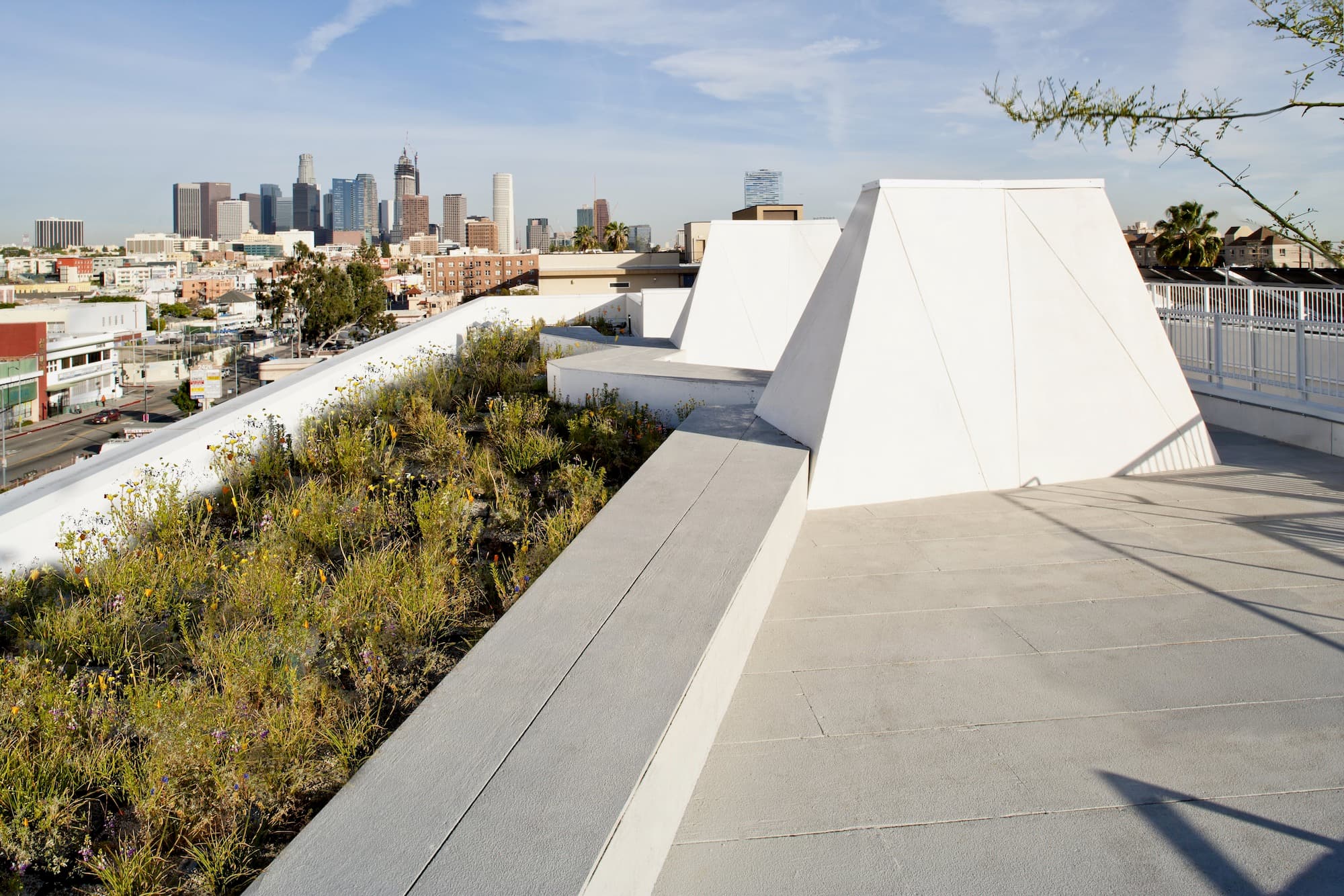 The Six, Brooks + Scarpa