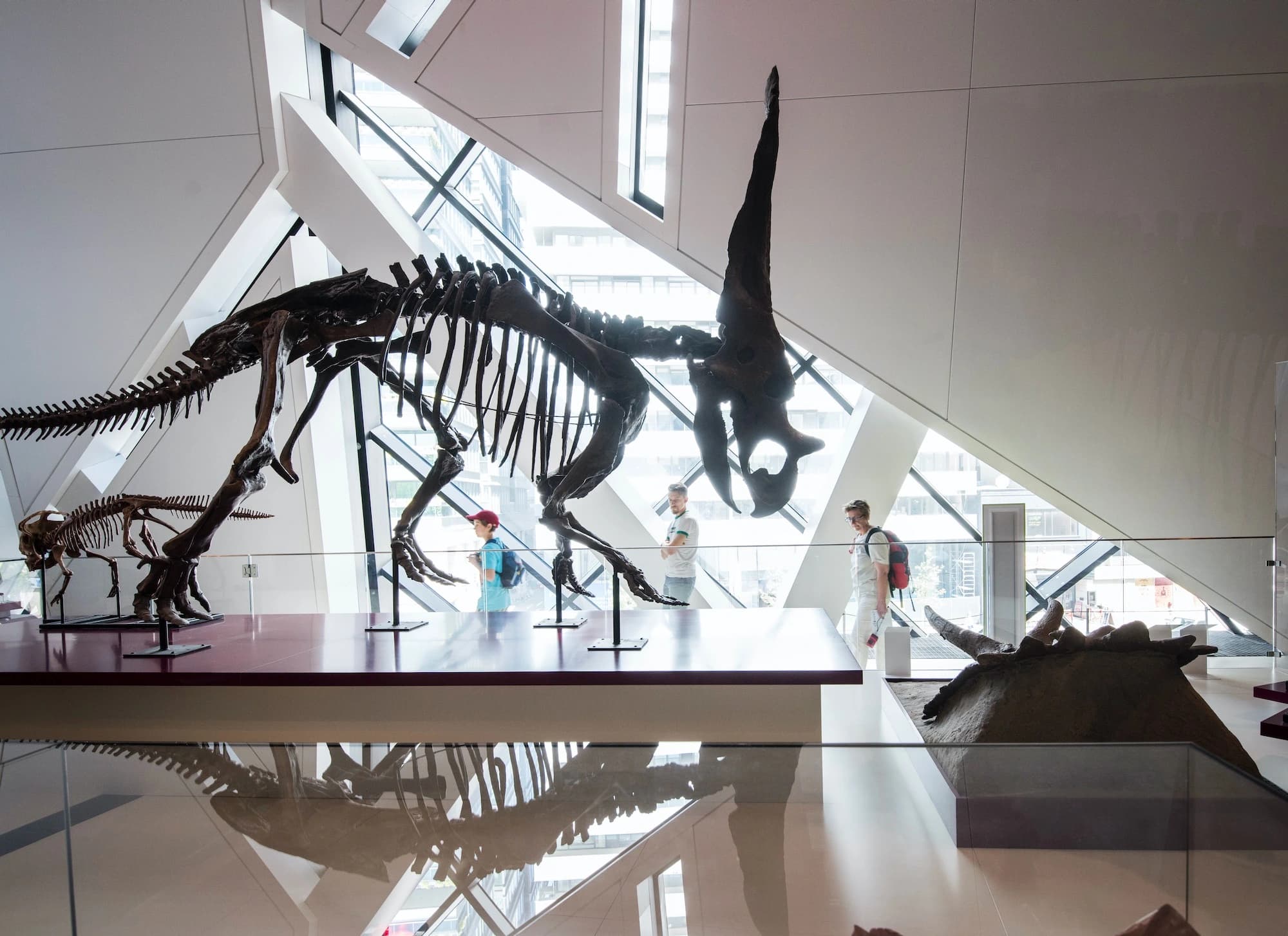 Royal Ontario Museum, Studio Daniel Libeskind