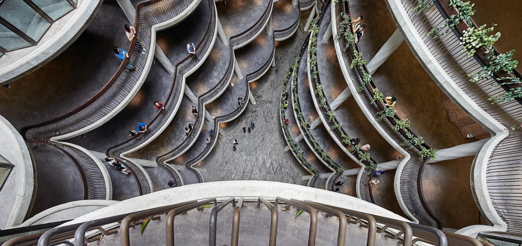 The Hive Learning Hub, Heatherwick Studio