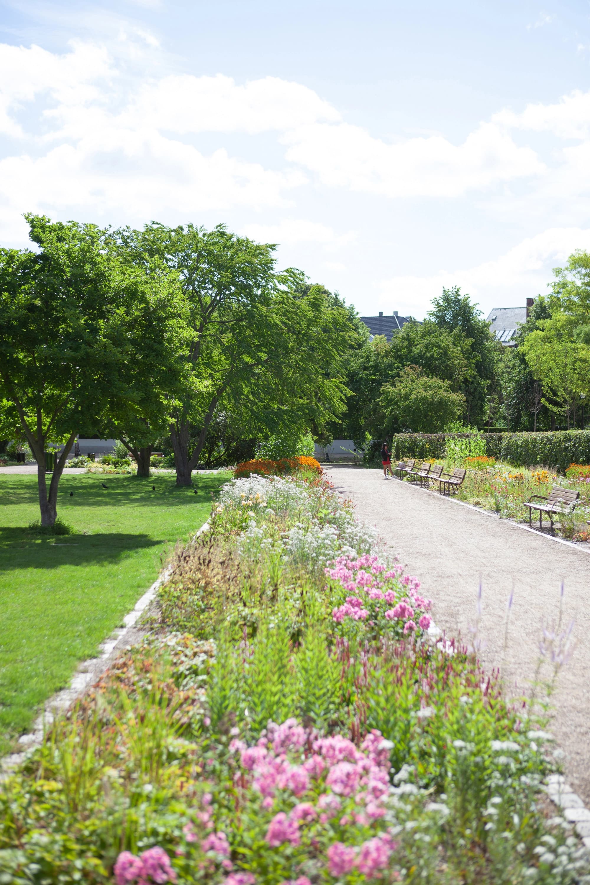 Staudebedet i Enghaveparken