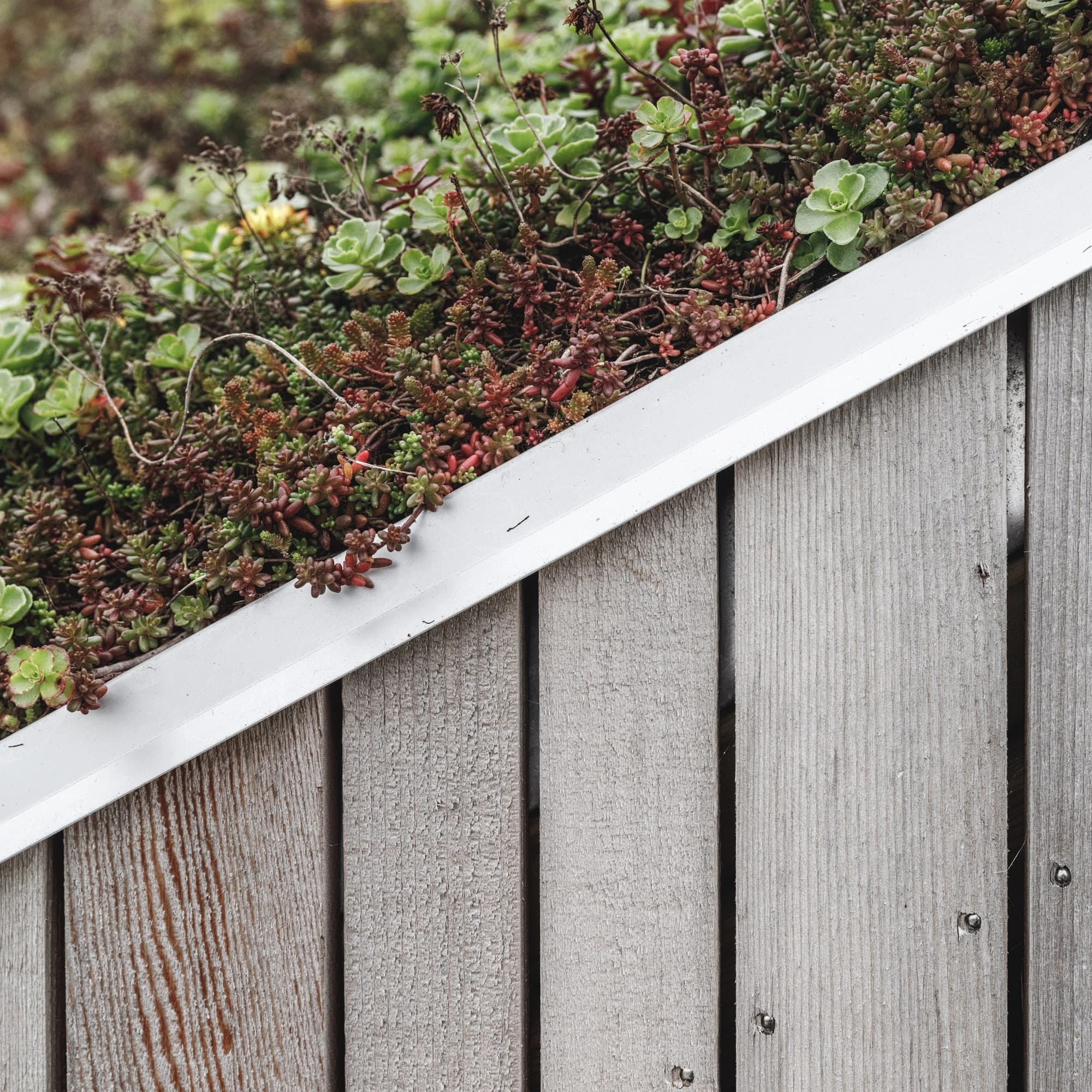 Vestre Fjord Park, ADEPT.