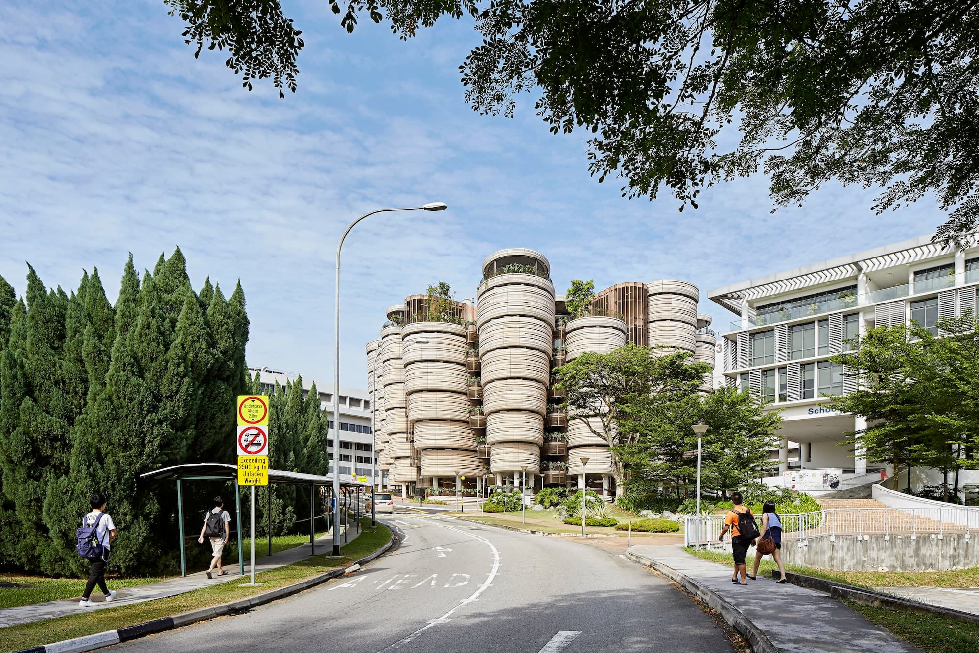 The Hive Learning Hub, Heatherwick Studio
