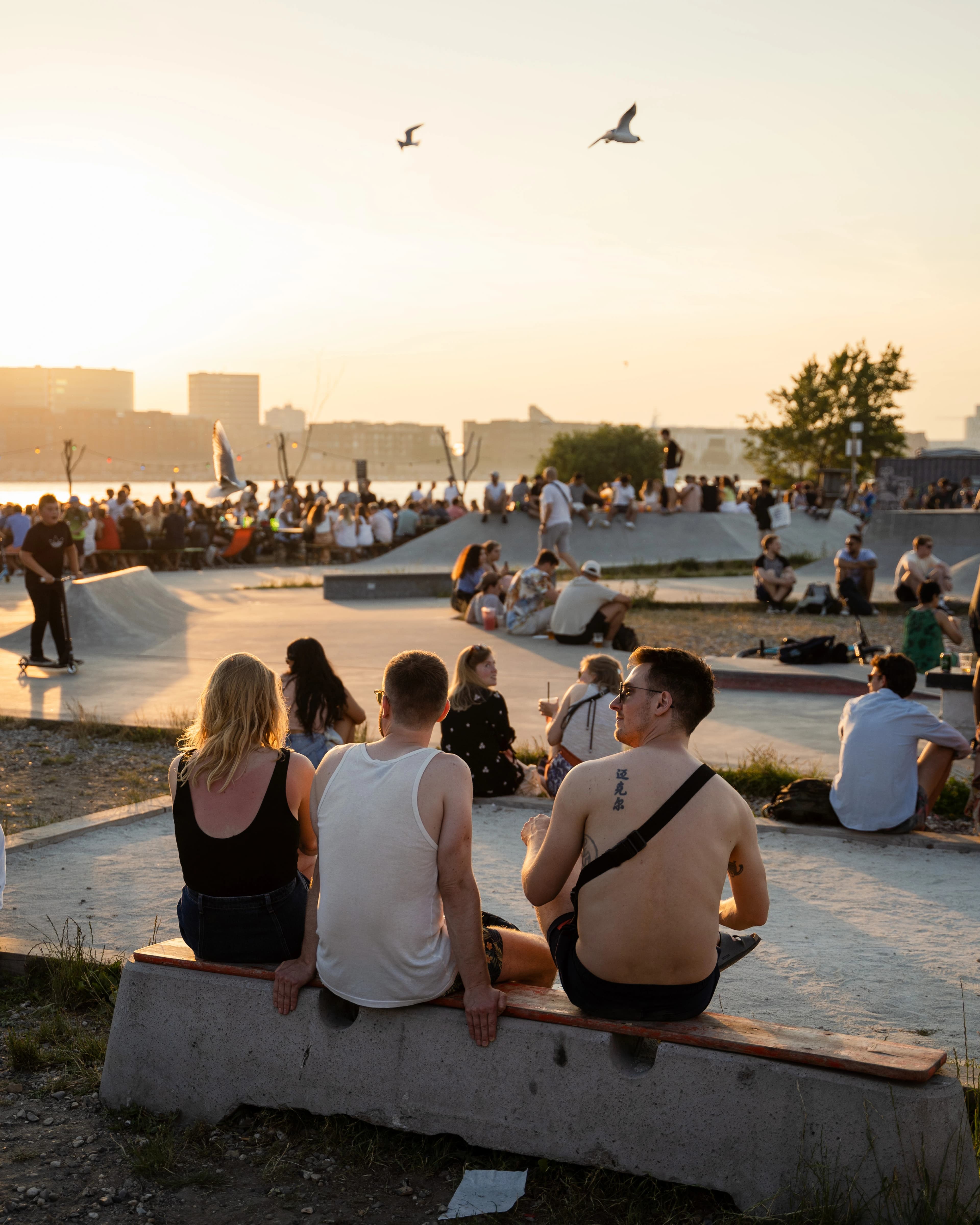 Aftensol på Reffen Street Food på Refshaleøen - udsigt over byen og havnen