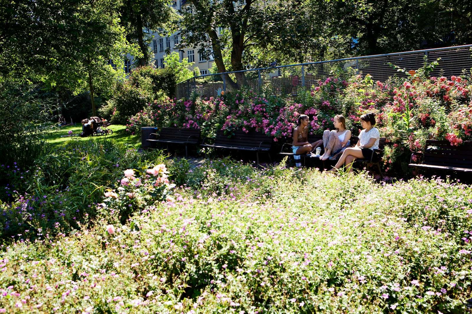 Bænke ved Skydebanehaven