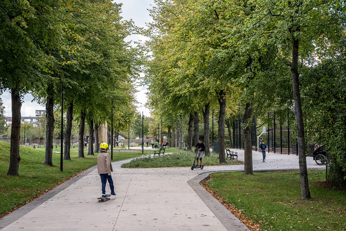 Børn skater i parken