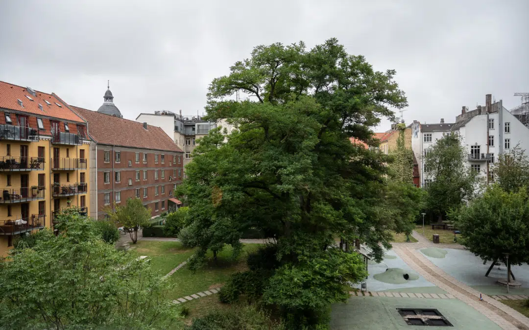 Courtyard: Københavnerkarréen